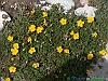 Campo Imperatore-photogallery-HPIM4702+.jpg